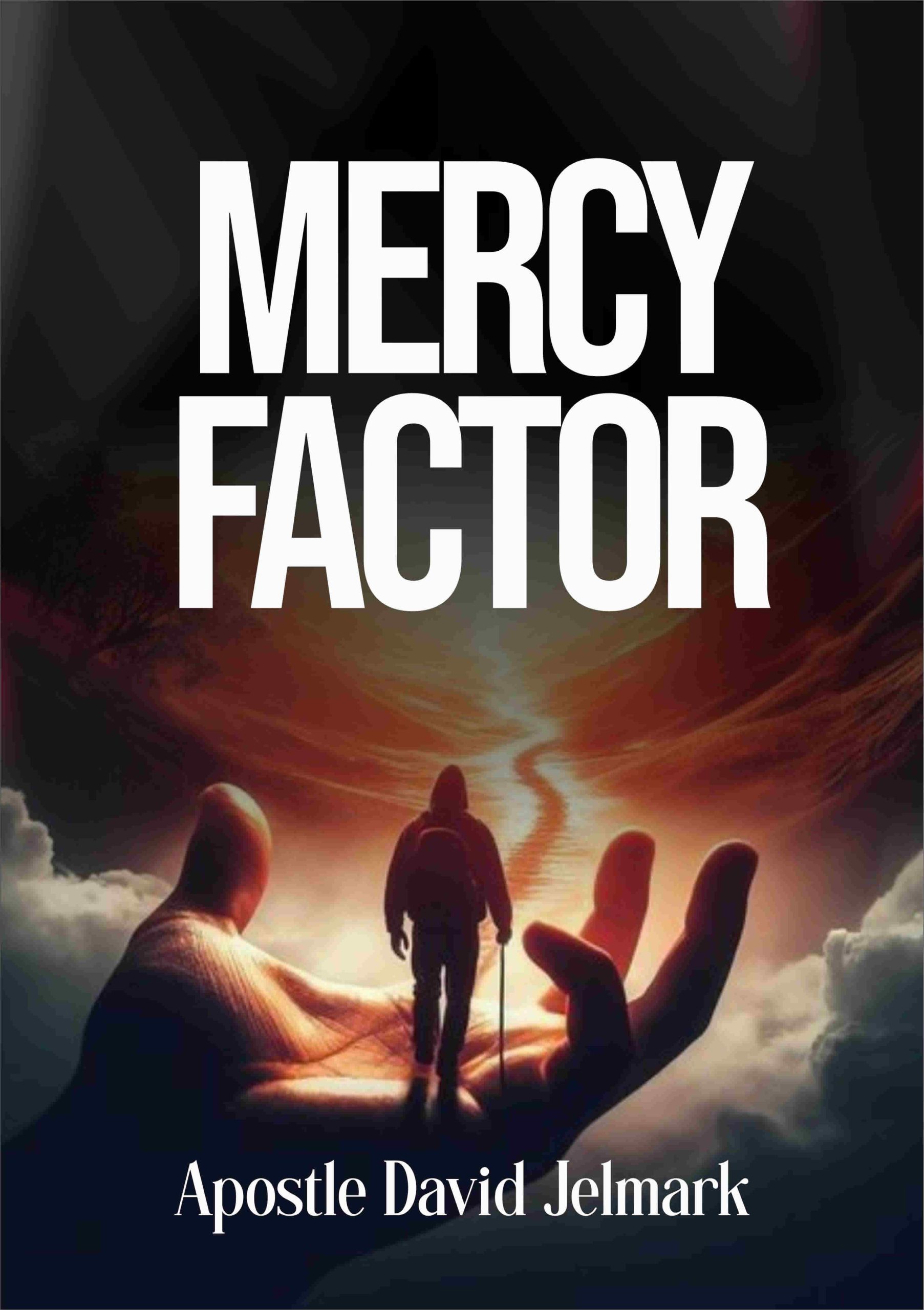 Mercy Factor Book Cover